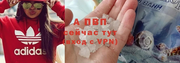 ПСИЛОЦИБИНОВЫЕ ГРИБЫ Майский