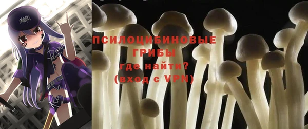 ECSTASY Магас