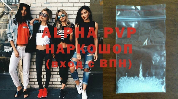 ECSTASY Магас