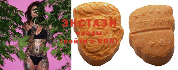 ECSTASY Магас