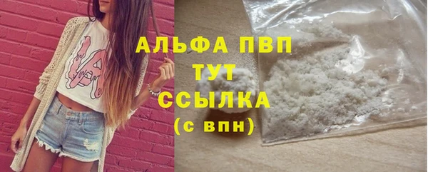 ECSTASY Магас