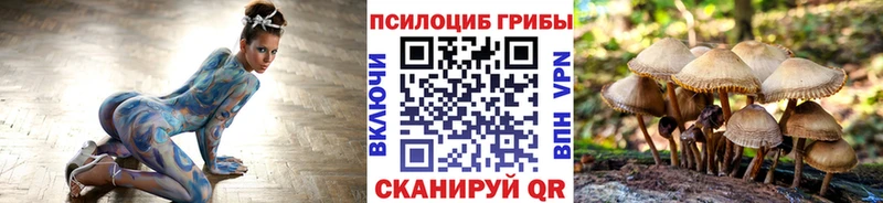 Галлюциногенные грибы MAGIC MUSHROOMS  Нахабино 